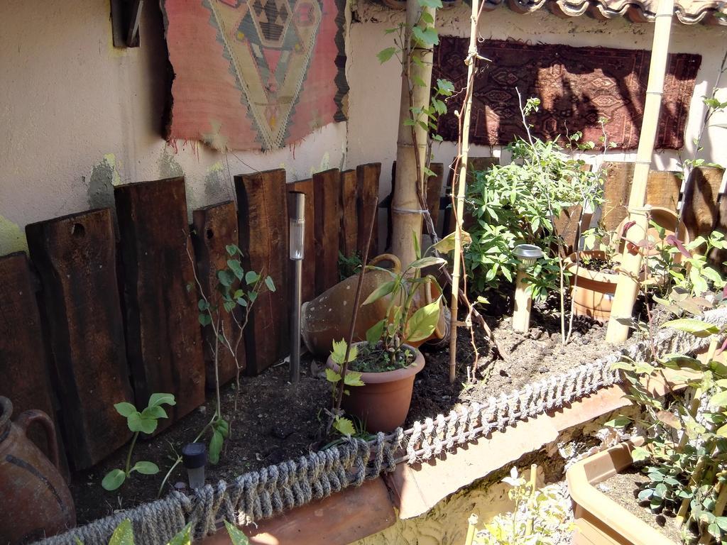 Lea Guest House Tbilisi Exterior foto